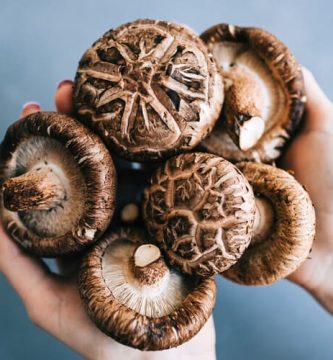 Cosa sono i funghi shiitake e da dove provengono?