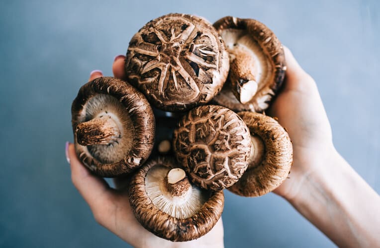 Cosa sono i funghi shiitake e da dove provengono?